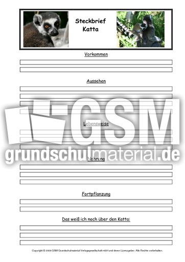 Katta-Steckbriefvorlage.pdf